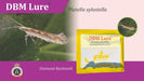 DBM LURE WITH PHEROMON TRAPE-PLUTELLA XYLOSTELLA(GREEN REVOLUTION) - Farmers Stop