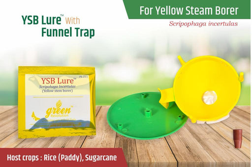 YSB LURE WITH PHEROMON TRAP-SCRIPOHAGA INCERTULAS(GREEN REVOLUTION) - Farmers Stop