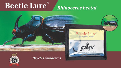 BEETAL LURE AND BUCKET TRAP-RHINOCEROS BEETAL(GREEN REVOLUTION) - Farmers Stop