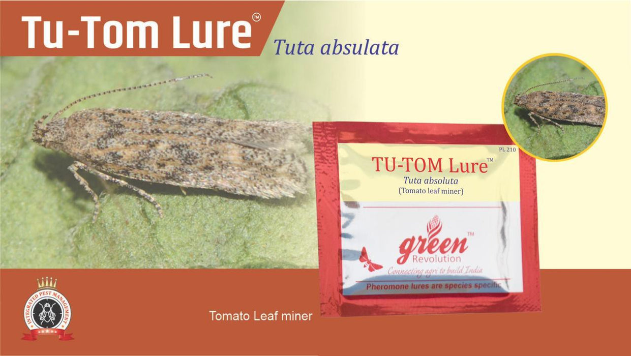TU-TOM LURE AND PHEROMON TRAP-TUTA ABSOLUTA(GREEN REVOLUTION) - Farmers Stop