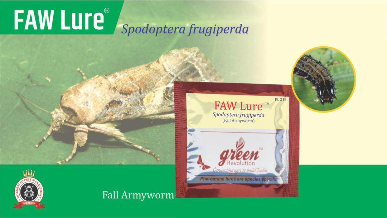 FAW LURE AND PHEROMON TRAP-SPODOPTERA FRUGIPERDA(GREEN REVOLUTION) - Farmers Stop