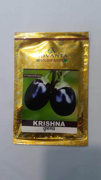 Krishna Brinjal F1 Hybrid (Golden Seeds/Advanta) - Farmers Stop
