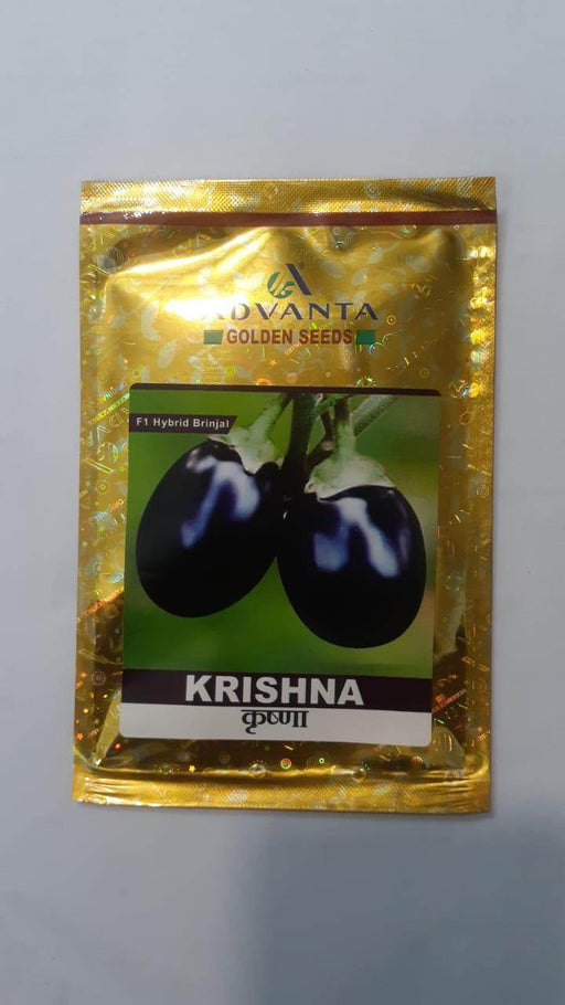 Krishna Brinjal F1 Hybrid (Golden Seeds/Advanta) - Farmers Stop