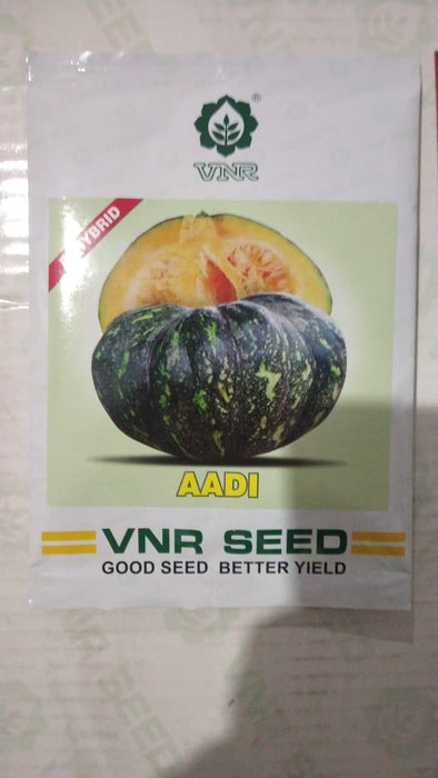 Aadi F1 Pumpkin (VNR seeds) - Farmers Stop