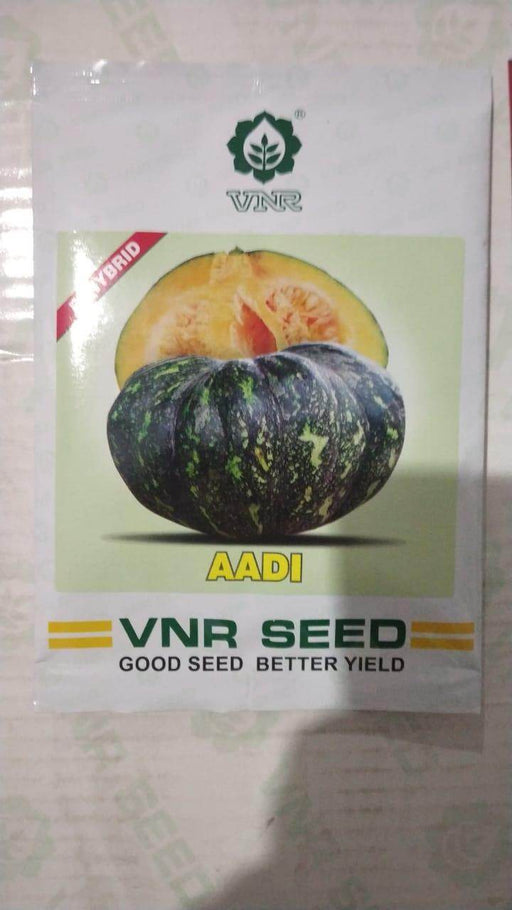 Aadi F1 Pumpkin (VNR seeds) - Farmers Stop