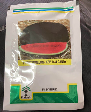 Candy KSP-1434 F1 Hybrid Watermelon ( Kalash Seeds) - Farmers Stop