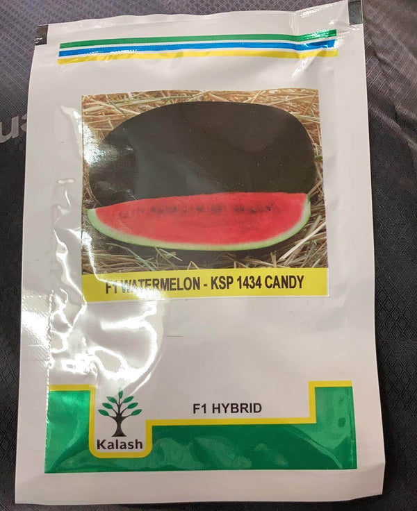 Candy KSP-1434 F1 Hybrid Watermelon ( Kalash Seeds) - Farmers Stop