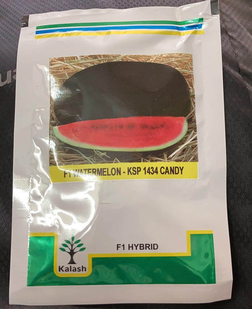 Candy KSP-1434 F1 Hybrid Watermelon ( Kalash Seeds) - Farmers Stop