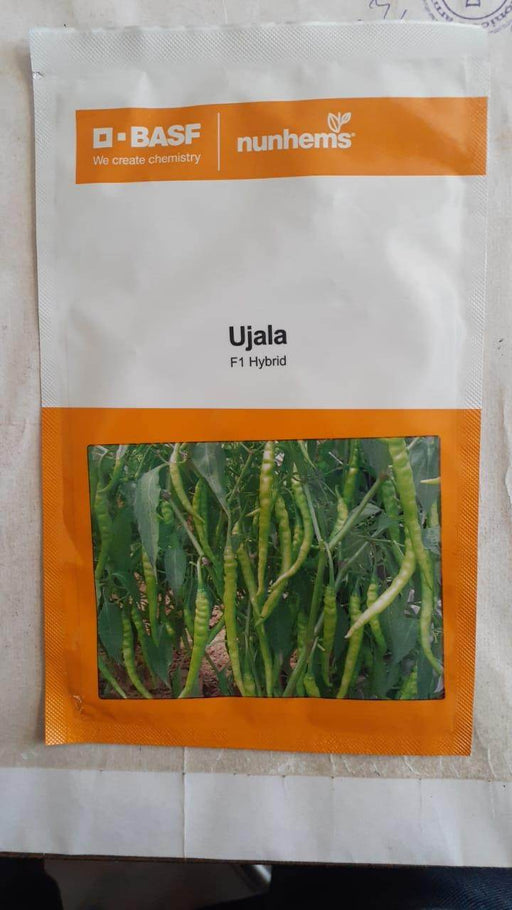 Ujala F1 Hybrid Chilli (Nunhems) - Farmers Stop