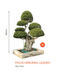 Big Bonsai Ficus Original Leaves Plants - Farmers Stop - Farmers Stop