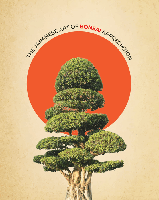 Big Bonsai Ficus Grafted Plant - Farmers Stop - Farmers Stop