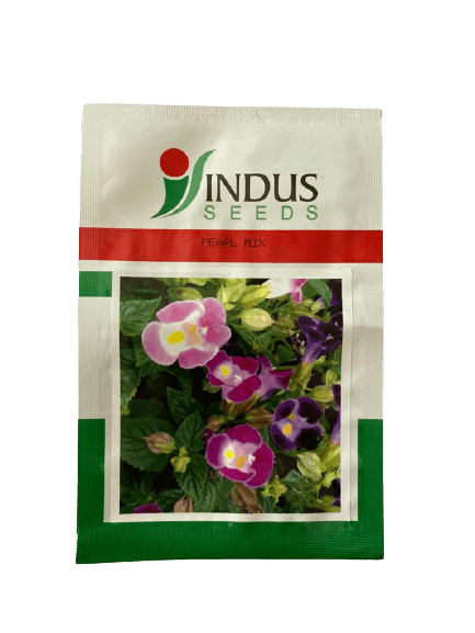 Torenia F1 Hybrid Pearl Mix (Indus Seeds) - Farmers Stop