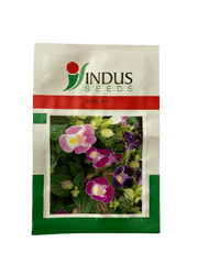 Torenia F1 Hybrid Pearl Mix (Indus Seeds) - Farmers Stop