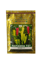 Natasha 727 F1 Hybrid Chilli (Advanta Seeds) - Farmers Stop