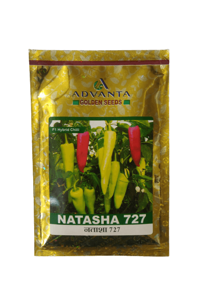 Natasha 727 F1 Hybrid Chilli (Advanta Seeds) - Farmers Stop
