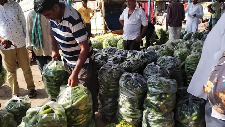 Simar F1 Hybrid Cucumber (Known You Seeds) - Farmers Stop