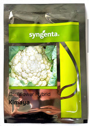 KIMAYA/ किमाया F1 hybrid Cauliflower (Syngenta seeds) - Farmers Stop