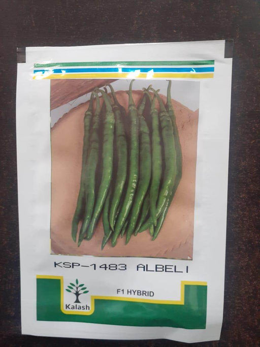 KSP-1483 ALBELI F1 HYBRID CHILLI (KALASH SEEDS) - Farmers Stop
