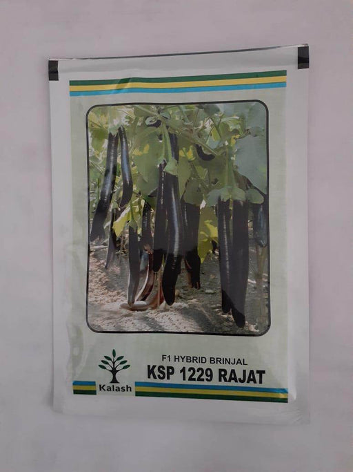 KSP-1229 RAJAT F1 HYBRID BRINJAL (KALASH SEEDS) - Farmers Stop