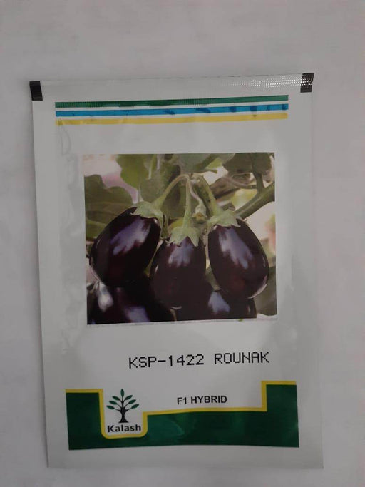 KSP-1422 ROUNAK F1 HYBRID BRINJAL (KALASH SEEDS) - Farmers Stop