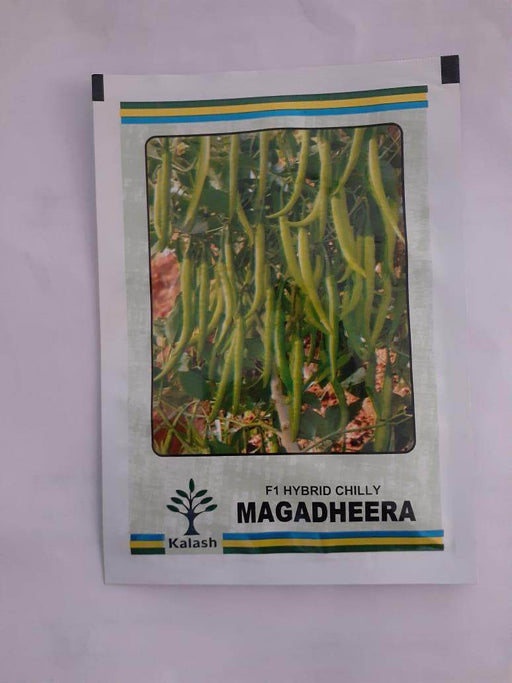 MAGADHEERA F1 HYBRID CHILLI (KALASH SEEDS) - Farmers Stop