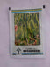 MAGADHEERA F1 HYBRID CHILLI (KALASH SEEDS) - Farmers Stop