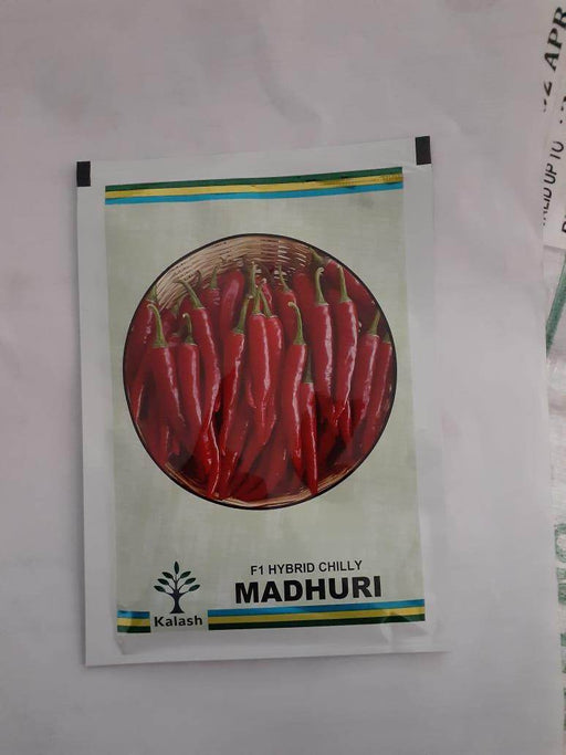 MADHURI F1 HYBRID CHILLI (KALASH SEEDS) - Farmers Stop
