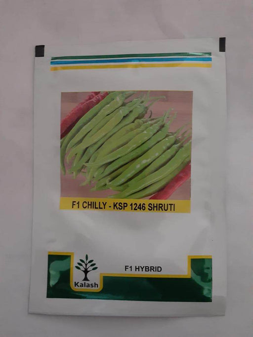 KSP-1246 SHRUTI F1HYBRID CHILLI (KALASH SEEDS) - Farmers Stop