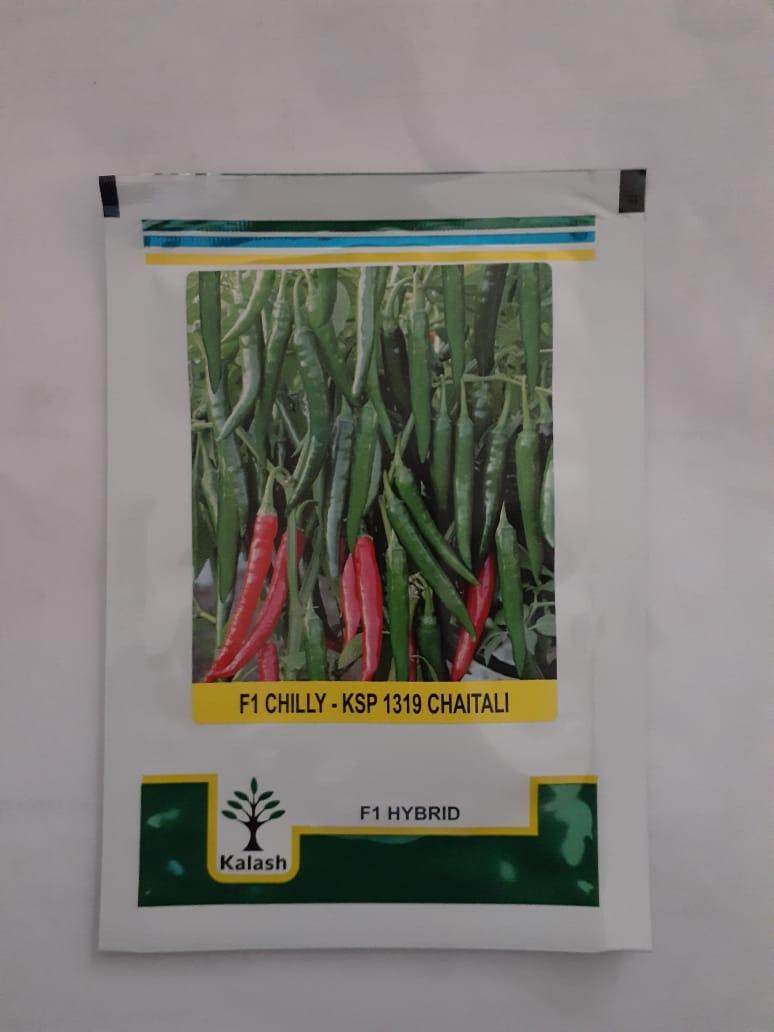 KSP-1319 CHAITALI F1 HYBRID CHILLI (KALASH SEEDS) - Farmers Stop
