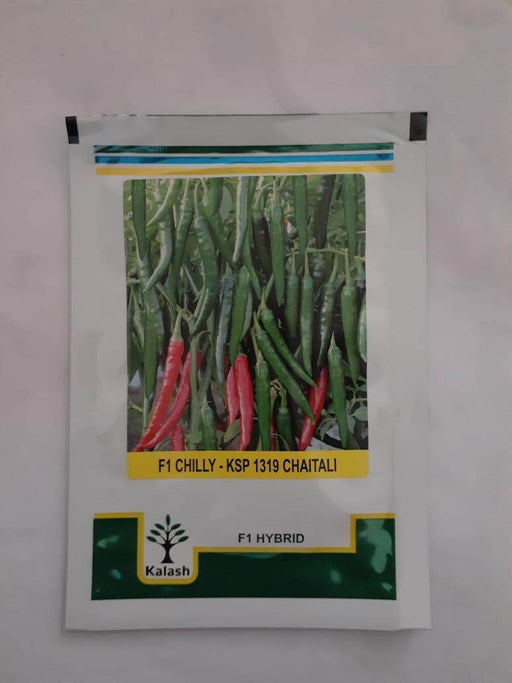 KSP-1319 CHAITALI F1 HYBRID CHILLI (KALASH SEEDS) - Farmers Stop