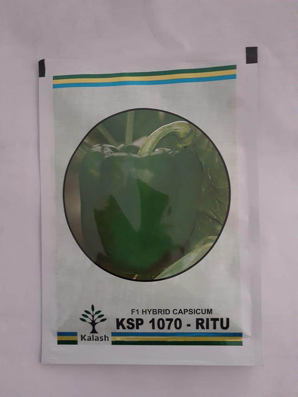 KSP-1070 RITU F1 HYBRID CAPSICUM (KALASH SEEDS) - Farmers Stop