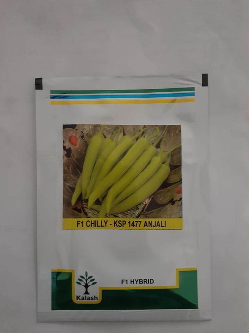 KSP-1477 ANJALI F1 HYBRID CHILLI (KALASH SEEDS) - Farmers Stop