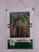 BSS-378 GARIMA F1HYBRID CHILLI (KALASH SEEDS) - Farmers Stop