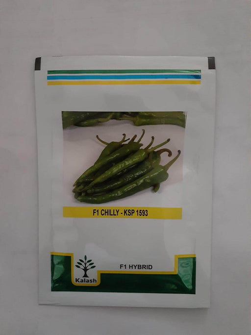 KSP-1593 F1HYBRID CHILLI (KALASH SEEDS) - Farmers Stop