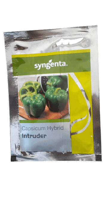 Intruder F1 Hybrid Capsicum (Syngenta) - Farmers Stop