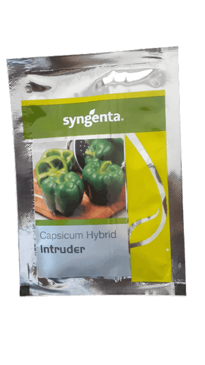 Intruder F1 Hybrid Capsicum (Syngenta) - Farmers Stop
