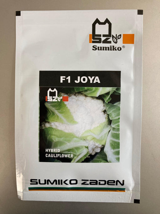 Joya/ज़ोया F1 Hybrid Cauliflower(Sumiko seeds) - Farmers Stop