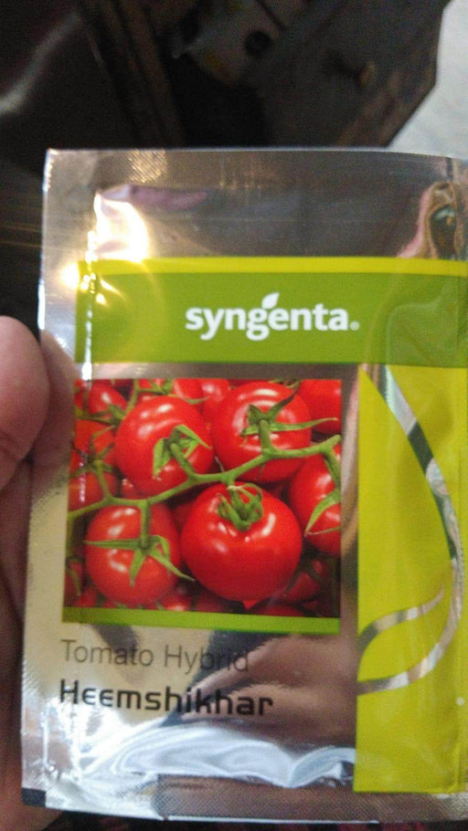 Heemshikhar/हिमशिखर Tomato (Syngenta) - Farmers Stop