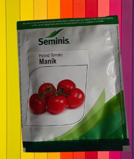 Manik /मानिक F1 Hybrid Tomato (Seminis) - Farmers Stop