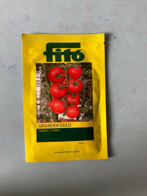 Sikander Gold /सिकंदर गोल्ड Tomato (Fito) - Farmers Stop