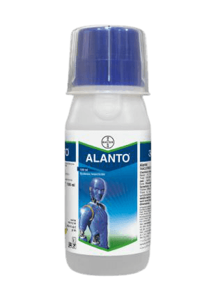Alanto® Thiacloprid 240 SC (21.7% w/w) (Bayer, India) - Farmers Stop