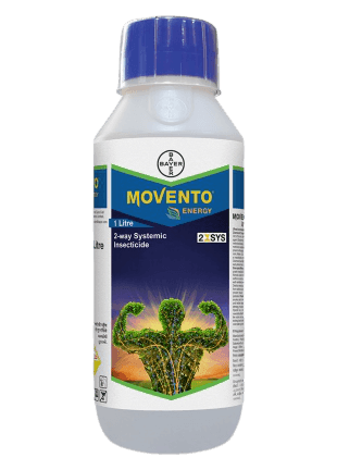 Movento® Energy Spirotetramat 11.01% + Imidacloprid 11.01% (Bayer, India) - Farmers Stop