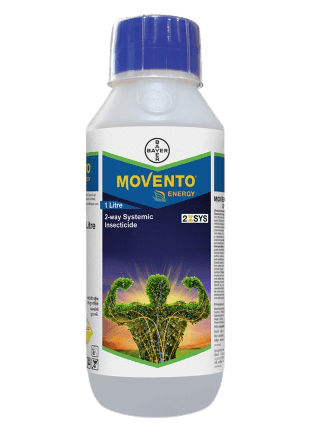 Movento® Energy Spirotetramat 11.01% + Imidacloprid 11.01% (Bayer, India) - Farmers Stop