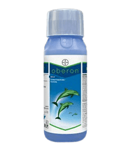Oberon® Spiromesifen 240 SC (Bayer, India) - Farmers Stop