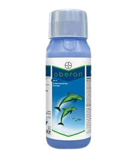 Oberon® Spiromesifen 240 SC (Bayer, India) - Farmers Stop