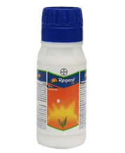 Regent ® SC Fipronil 5 SC (5% w/w) (Bayer, India) - Farmers Stop