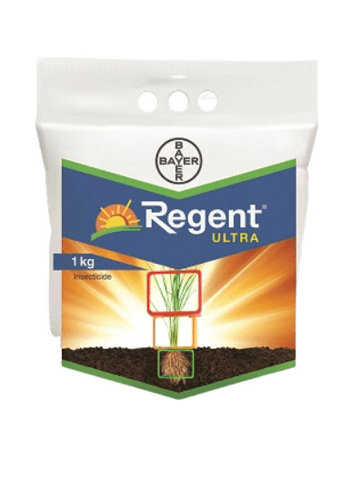 Regent® ULTRA Fipronil 0.6 GR (Bayer, India) - Farmers Stop