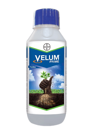 Velum prime Fluopyrum 34.48% SC (Bayer, India) - Farmers Stop