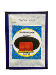 Lantus F1 Hybrid IceBox Watermelon - High-Yield, Disease-Tolerant Fruit Seed | Konico Seeds - Farmers Stop