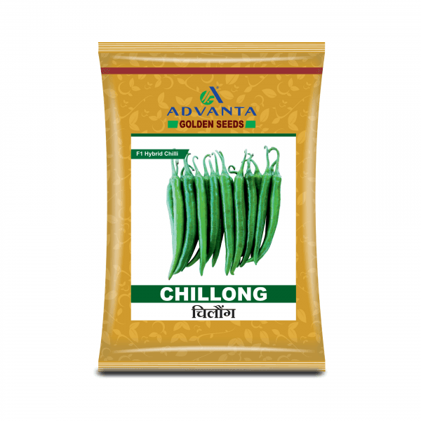 CHILLONG F1 HYBRID CHILLI (ADVANTA/GOLDEN) - Farmers Stop